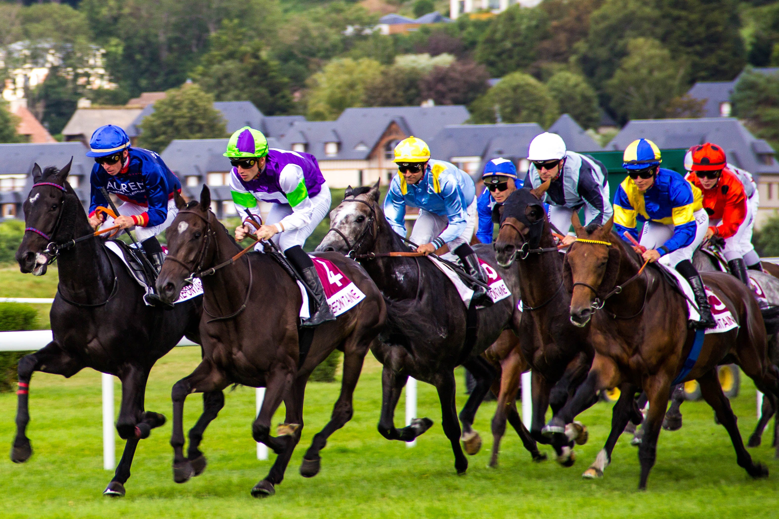 Melbourne Cup