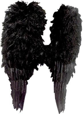 Wings Down Feather Angel Large Black Deluxe 60cm x 54cm