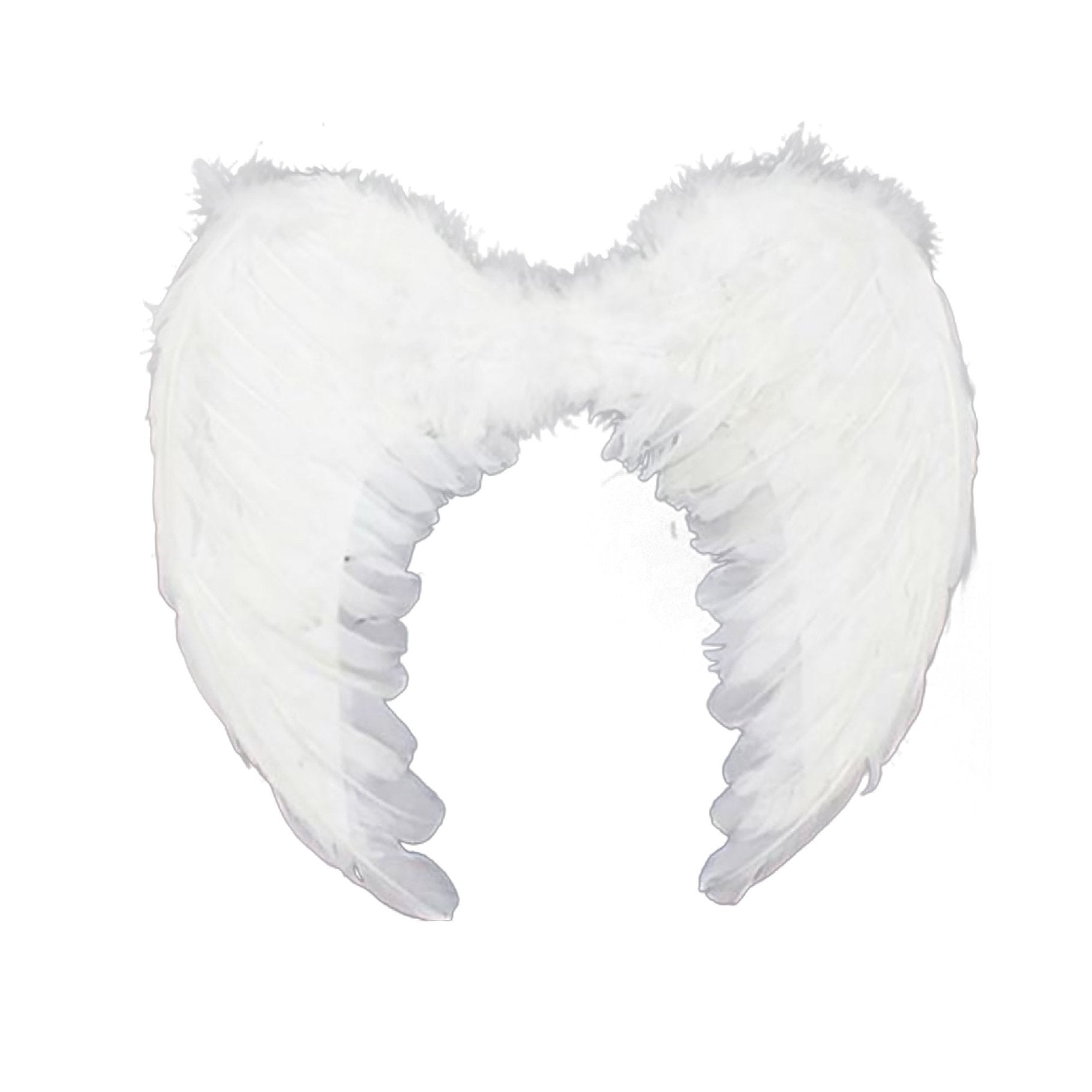 Wings Down Feather Angel White 80cm x 60cm