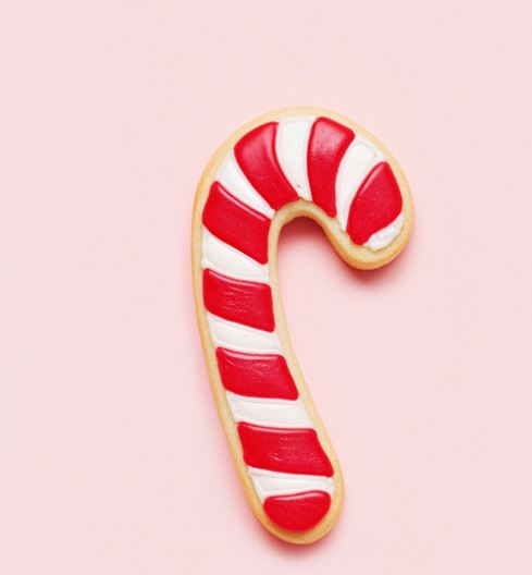 Cookie/Biscuit Cutter Christmas Candy Cane Red/White Striped
