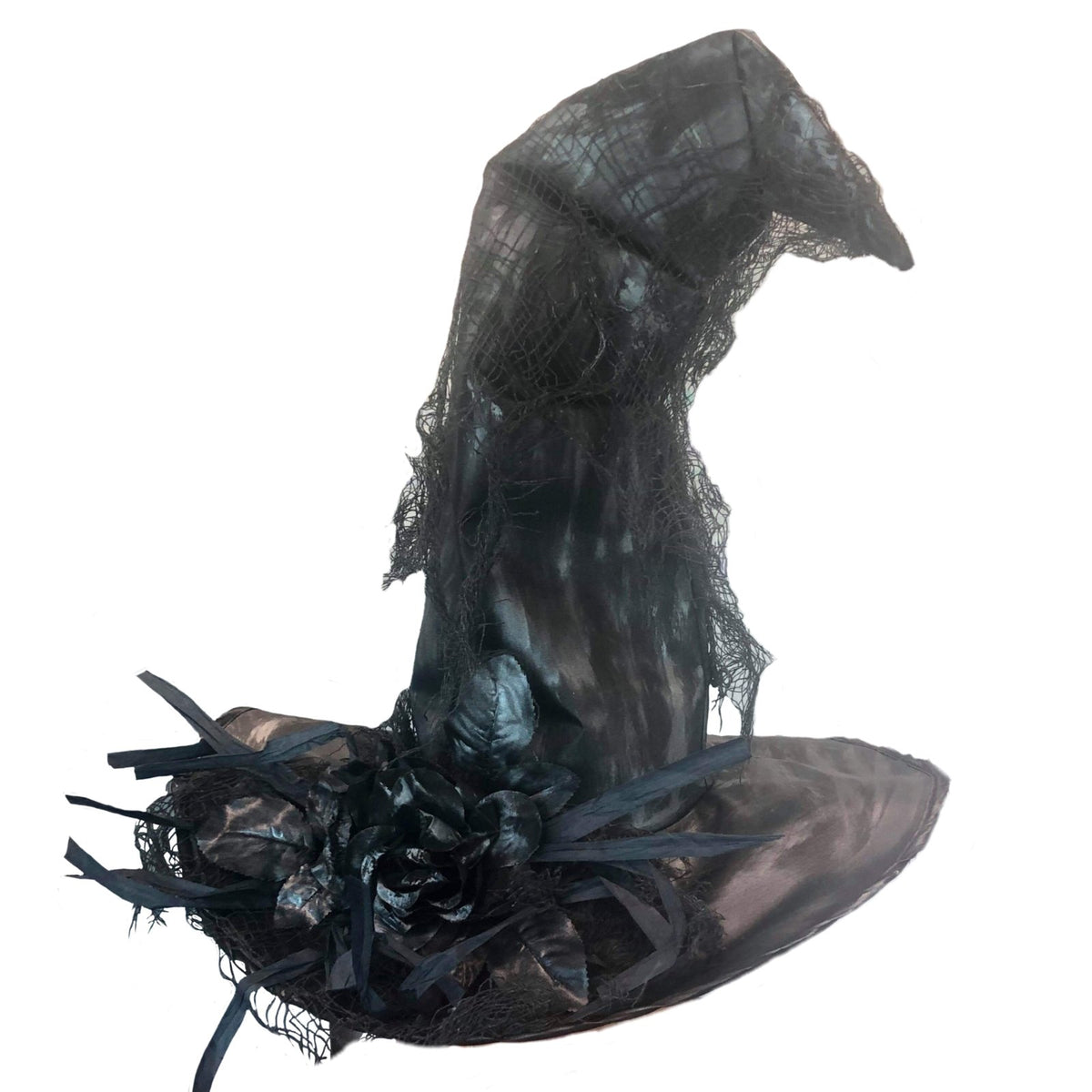 Hat Witch/Wizard Black W/Trim Deluxe