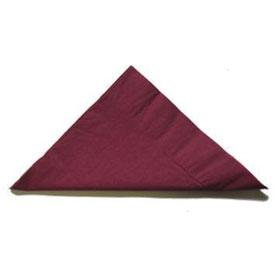 Napkins Dinner 2ply Burgundy Pk/50