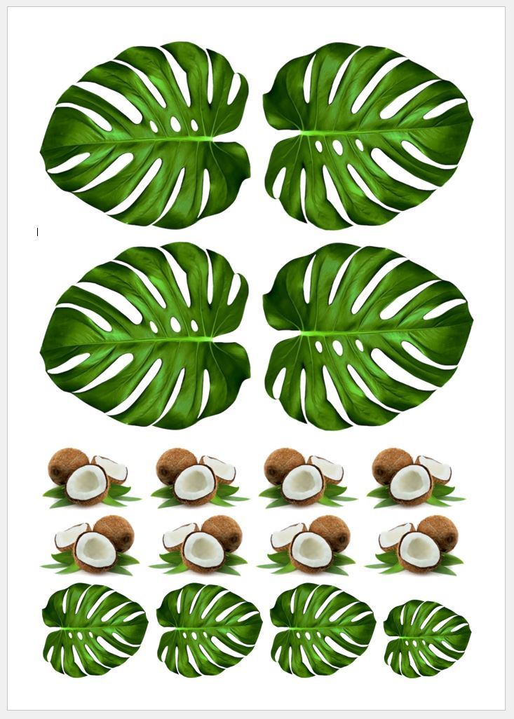 Blank Edible Icing Sheet A4 (No Print) Each