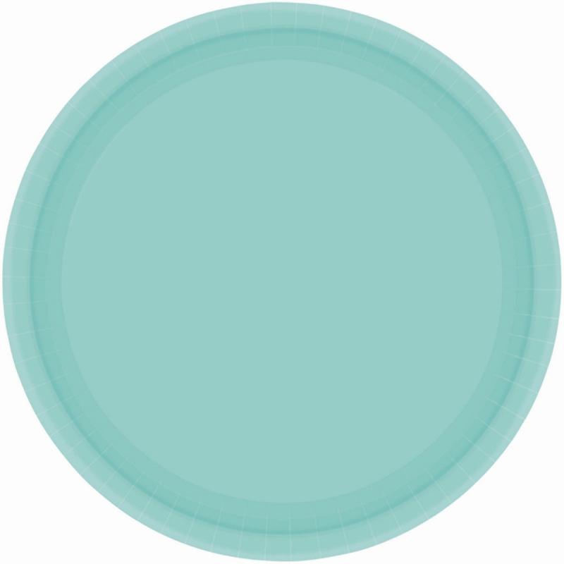 Paper Plates 23cm Robins Egg Blue Round 20 Pack