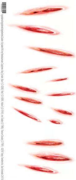 Temporary Tattoos Fx Animal Claw Marks Trauma Kit Tinsley Brand Pk/16
