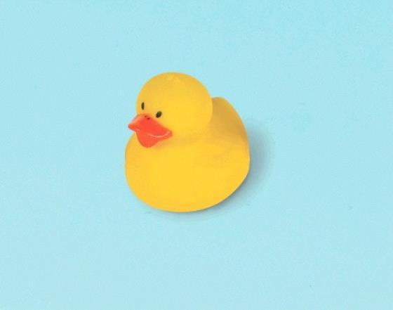 Value Favours/Loot Bag Rubber Ducky Yellow Pk/18