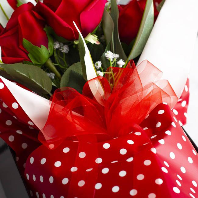 Organza Ribbon Red Cut Edge 25mm x 100m