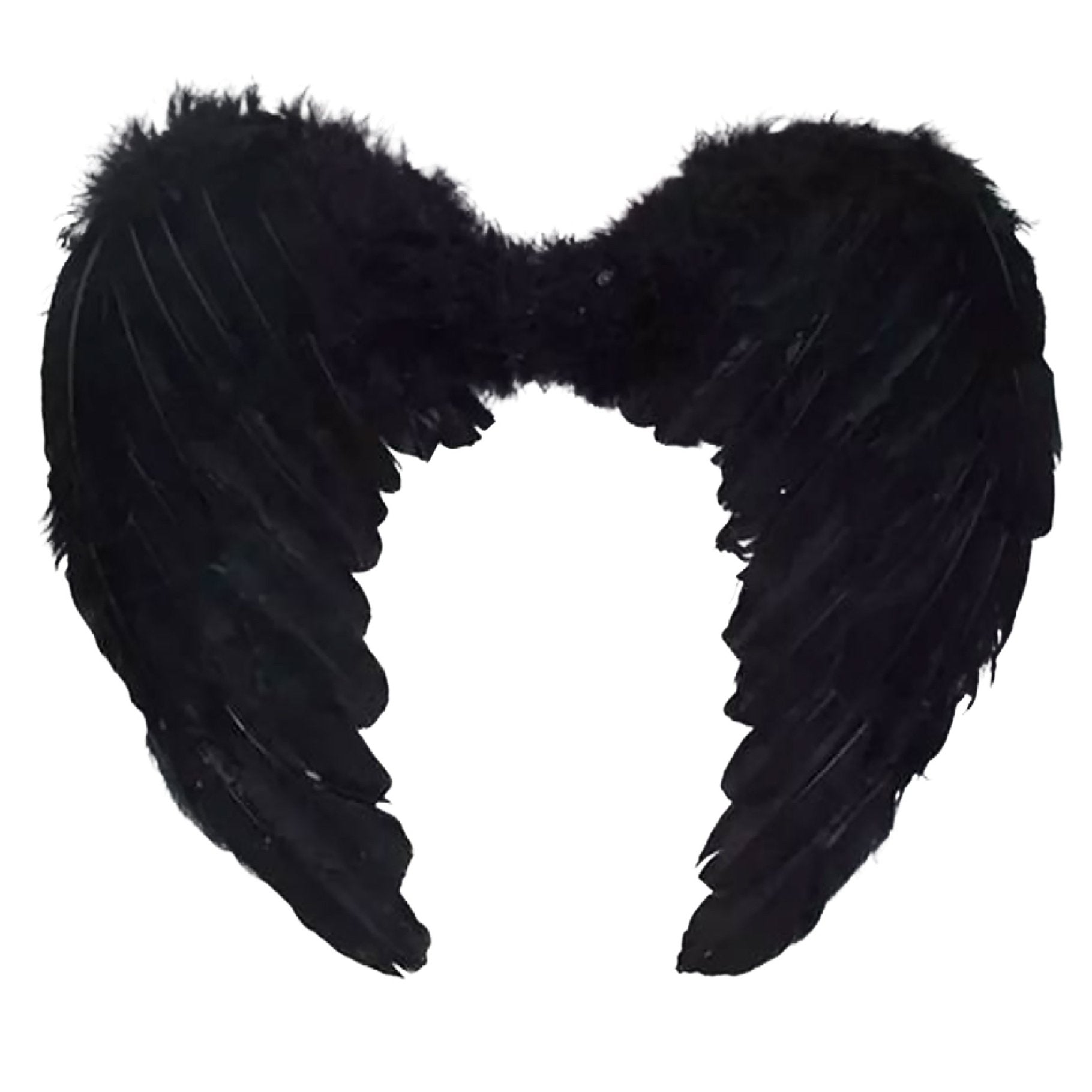 Wings Down Feather Angel Black 80cm x 60cm