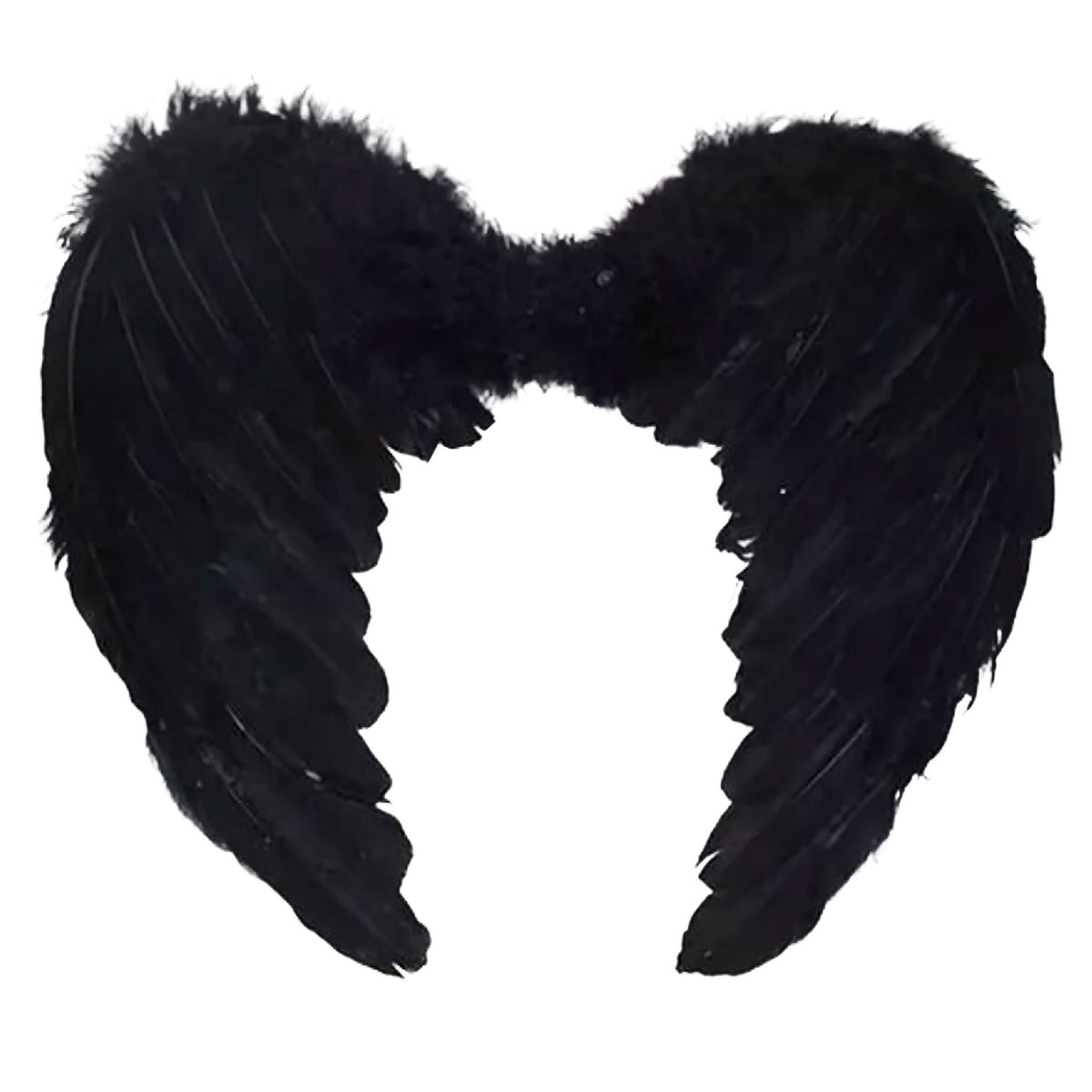 Wings Down Feather Angel Black 80cm x 60cm
