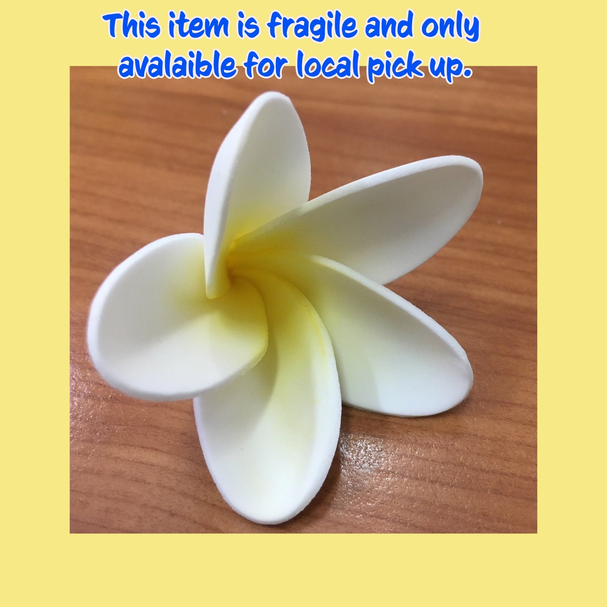 Sugar Frangipani 5cm White / Yellow