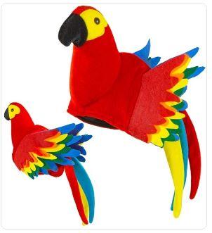 Hat Animal Bird Parrot Colourful