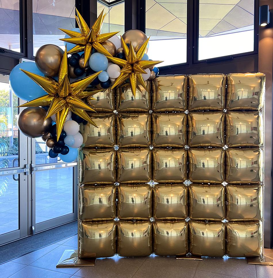 Balloon Wall Panel Backdrop 2.25m x 2.25m & Elegant Organic Balloons