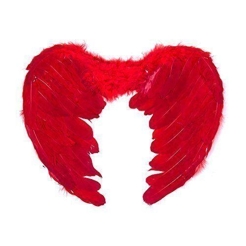 Wings Down Feather Angel Red 80cm x 60cm