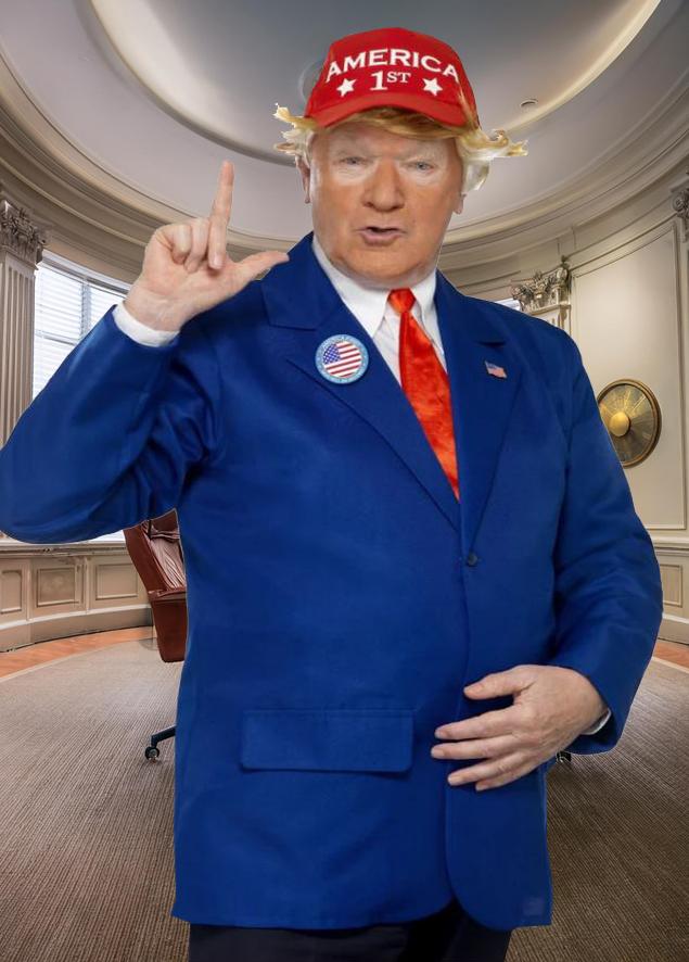 Costume Adult USA President