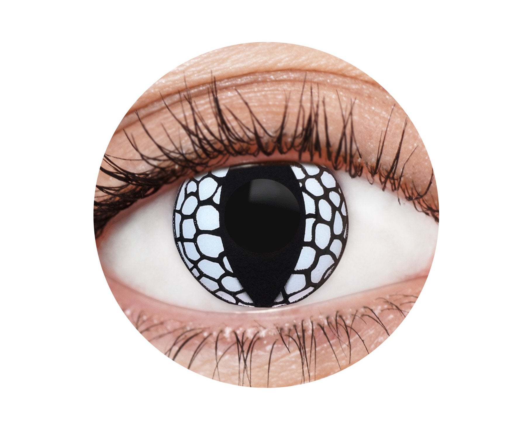 Contact Lense EyeFX White Dragon