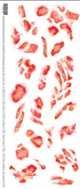 Temporary Tattoos Fx Torched Burn Trauma Kit Tinsley Brand Many Tattoos