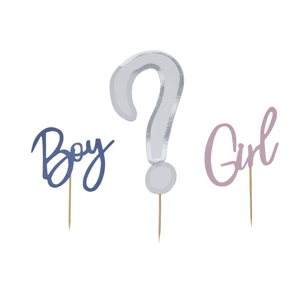 Gender Reveal Cake Topper Set Baby Boy or Girl? Cardboard