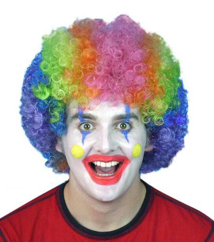 Wig Clown Curly Rainbow