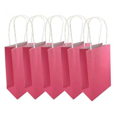 Party Loot Bag Paper Fuchsia Pink Pk/5