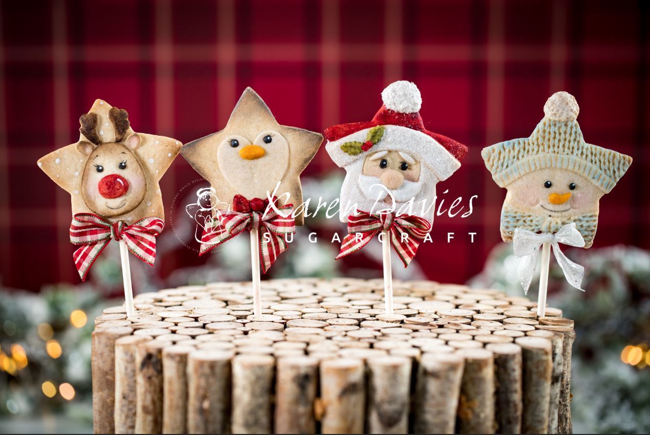 Mould Christmas Star Snowman Karen Davies- Last Chance