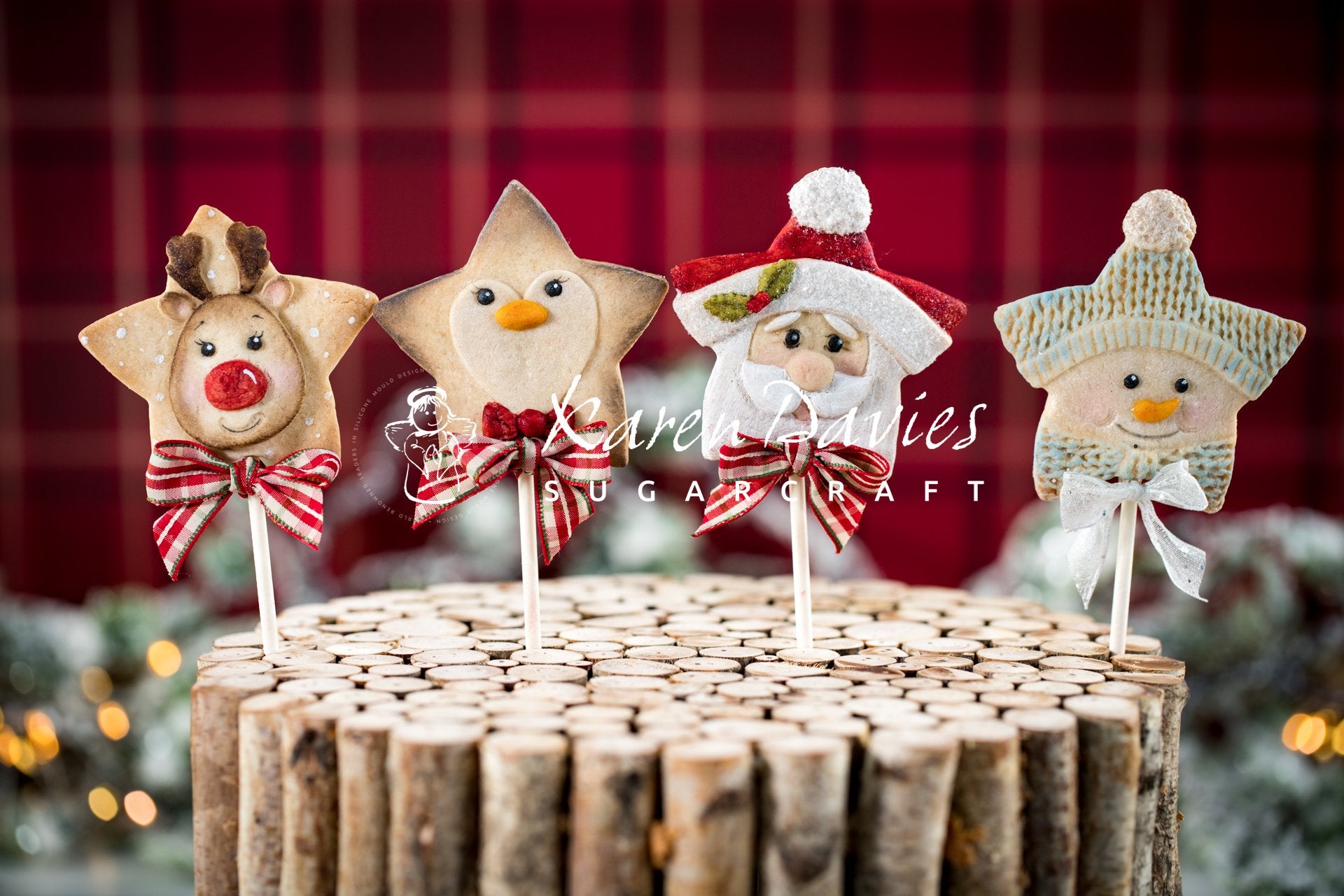 Mould Christmas Star Penguin Karen Davies- Last Chance