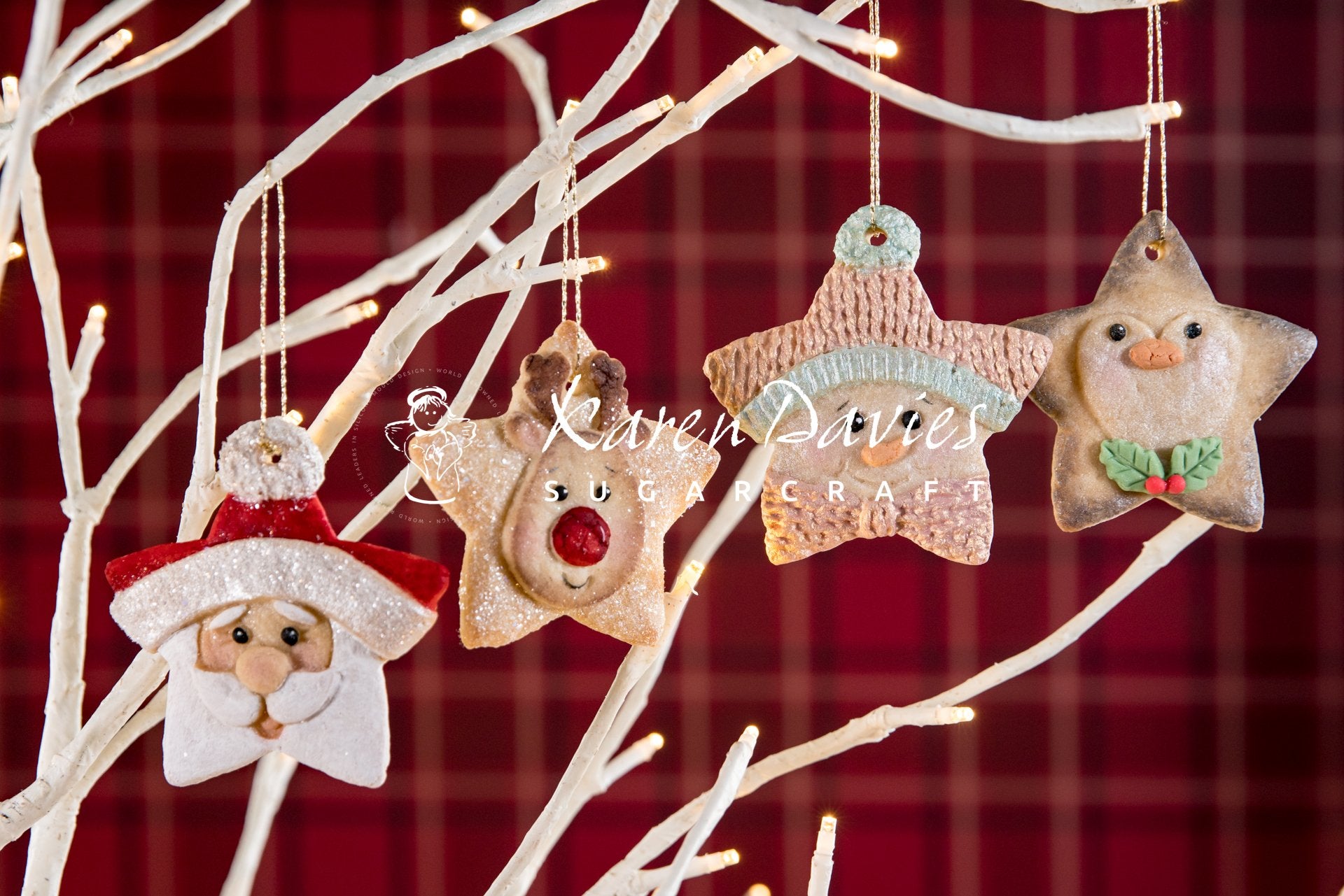 Mould Christmas Star Santa Karen Davies- Last Chance