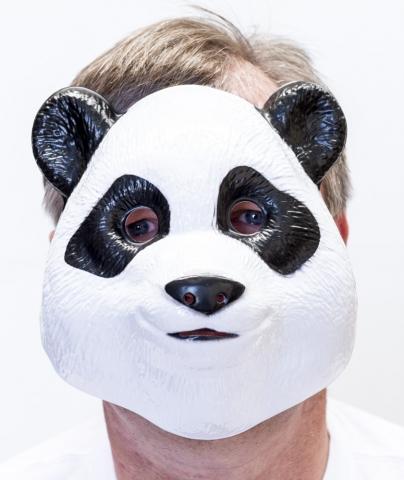 Animal Costume Mask Panda Moulded Plastic