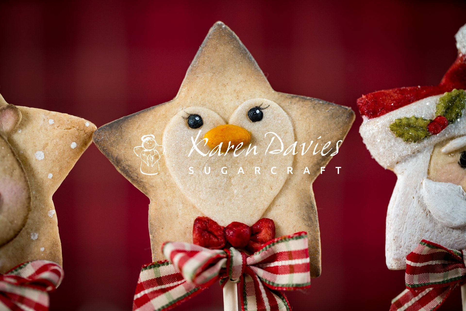 Mould Christmas Star Penguin Karen Davies- Last Chance