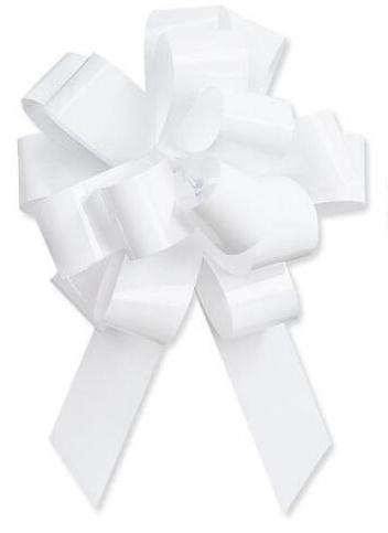 Handmade Poly Bow 11 Inch - Phone To Order