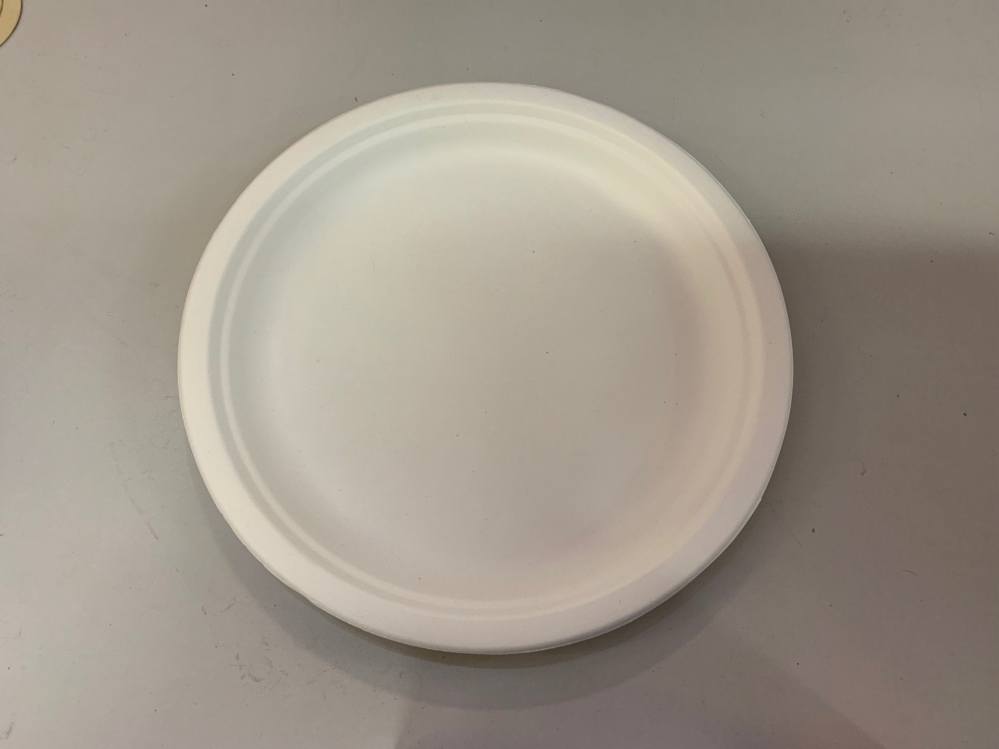 Round Plate 10 Inch Sugarcane Pk/50 Eco Friendly