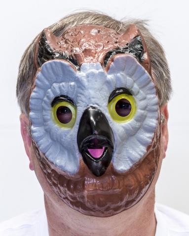 Animal Costume Mask Owl Bird Moulded Plastic