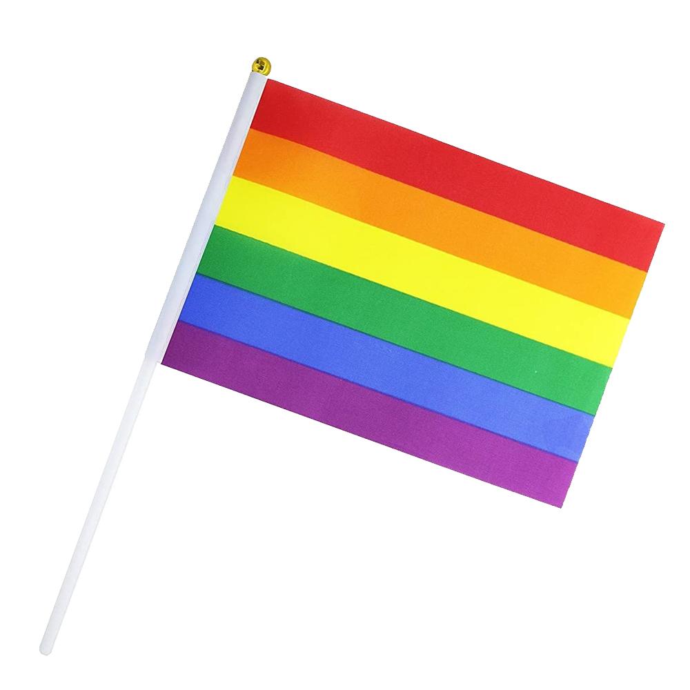 Flag Rainbow Hand Waver 30x45cm