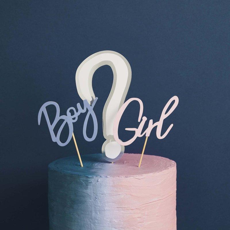 Gender Reveal Cake Topper Set Baby Boy or Girl? Cardboard