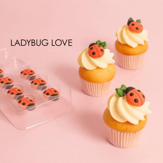 Edible Icing Decorations Animal Ladybug/Birds Red/Black Pk/10