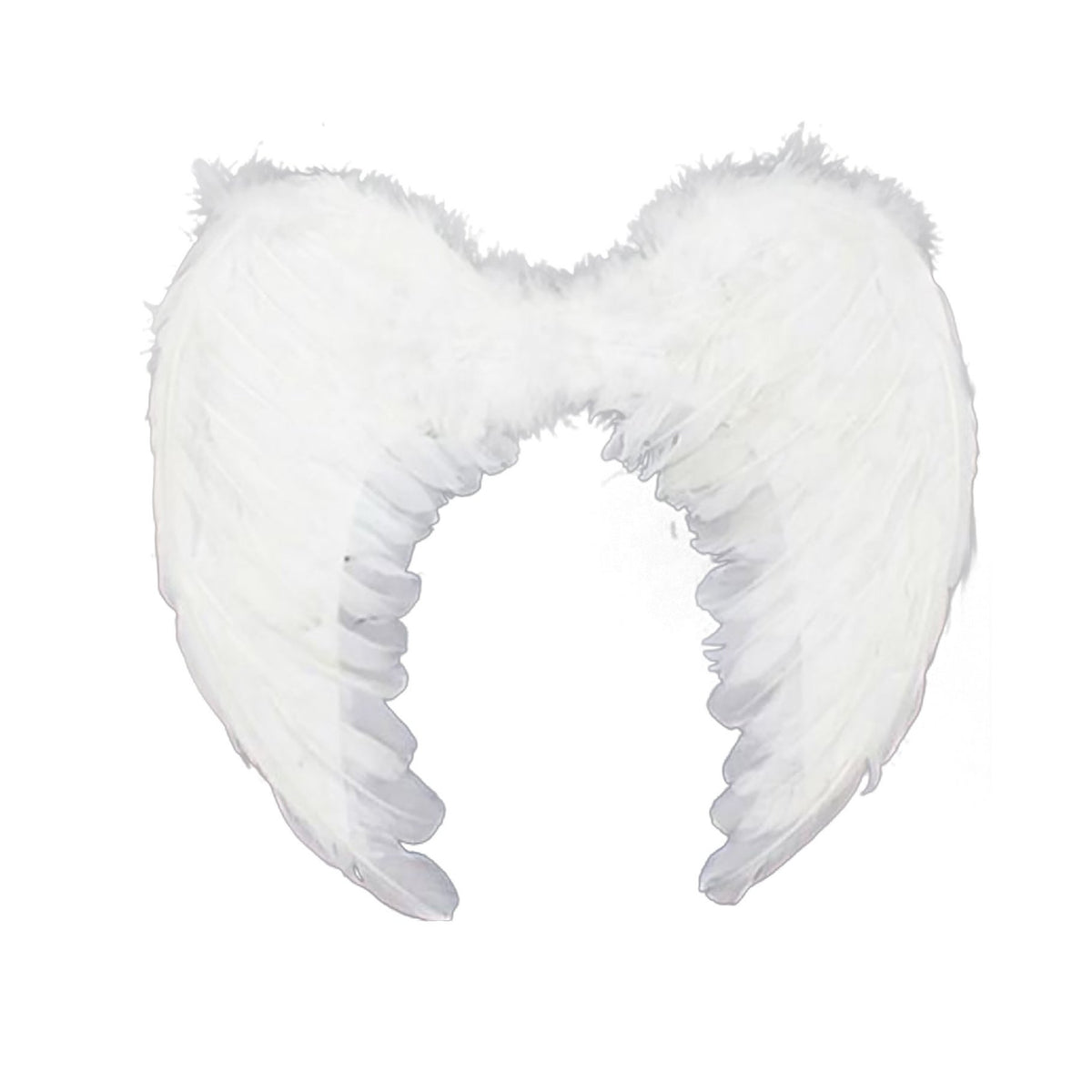Wings Down Feather Angel White 80cm x 60cm
