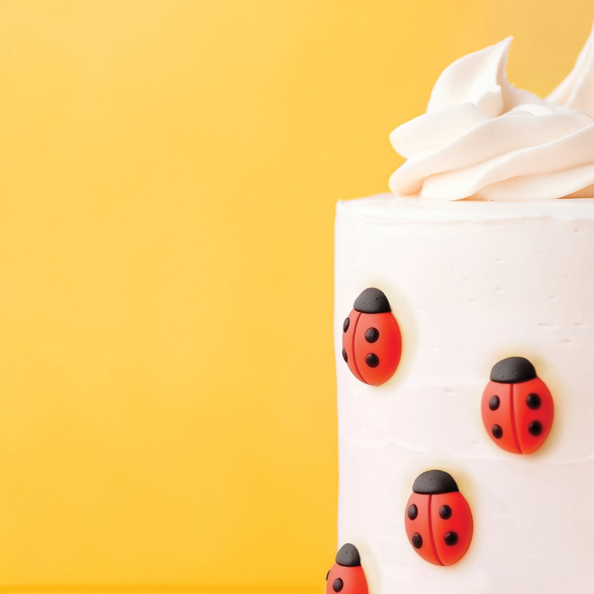 Edible Icing Decorations Animal Ladybug/Birds Red/Black Pk/10