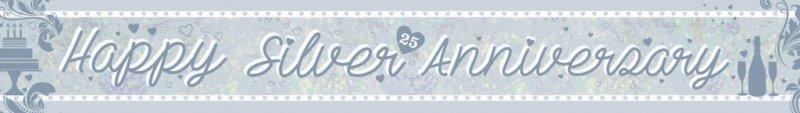 Banner 25th Anniversary Prismatic