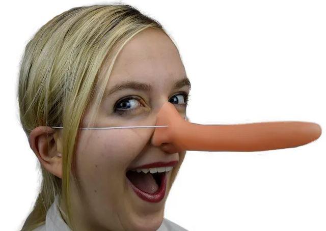 Long Nose Like Pinocchio Costume Accessory