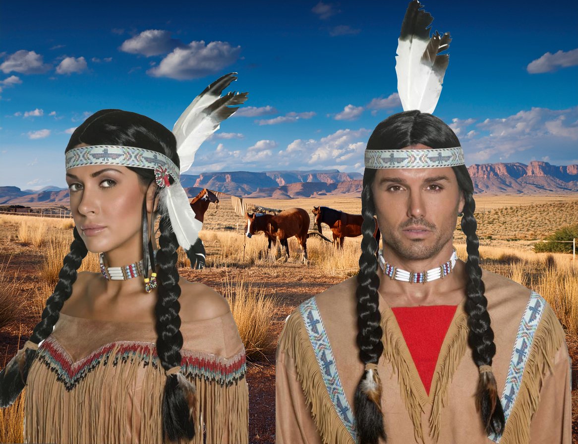 Wig Native American Inspired Black