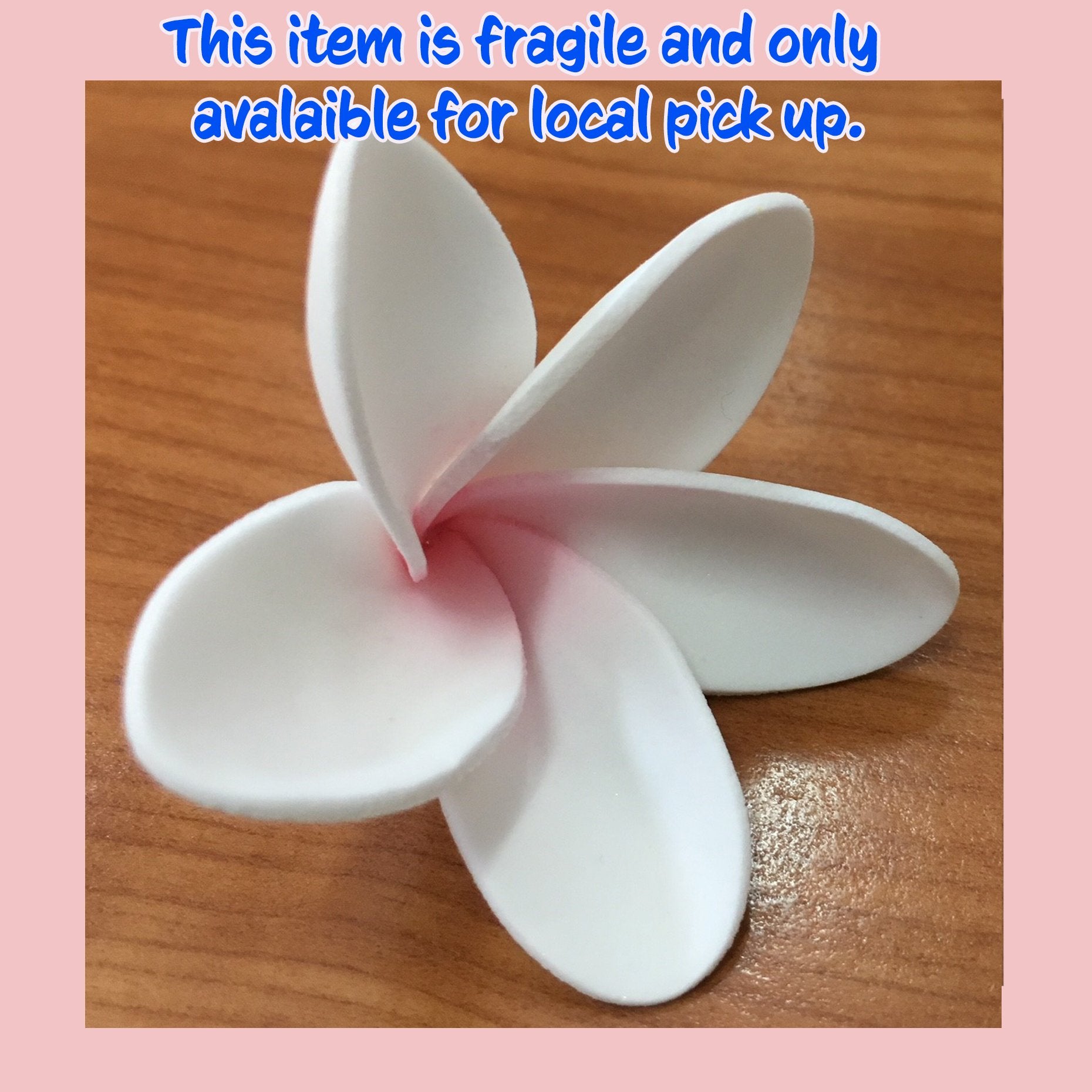 Sugar Frangipani 5cm White / Pink