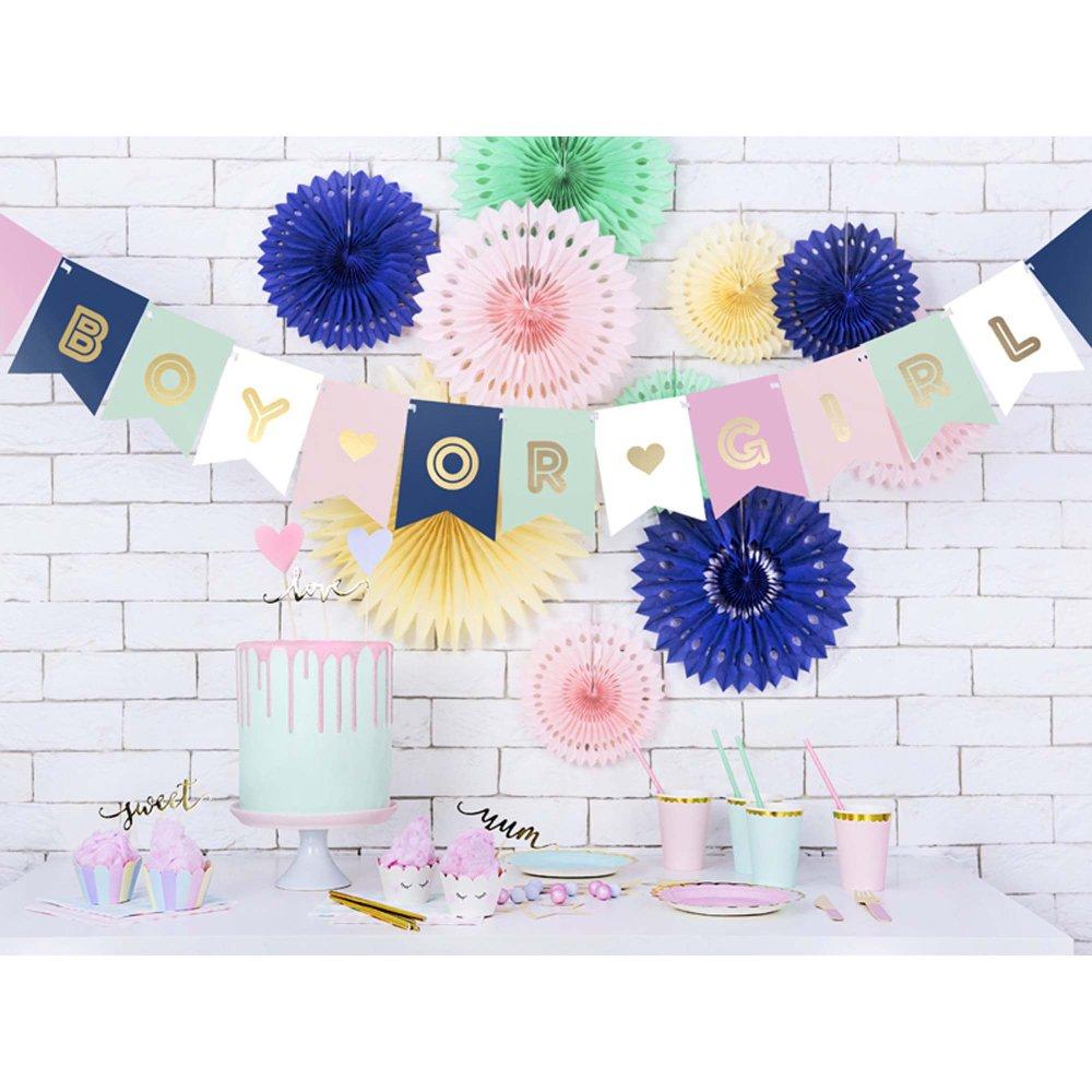 Gender Reveal Banner Baby Boy or Girl 1.75cm Long