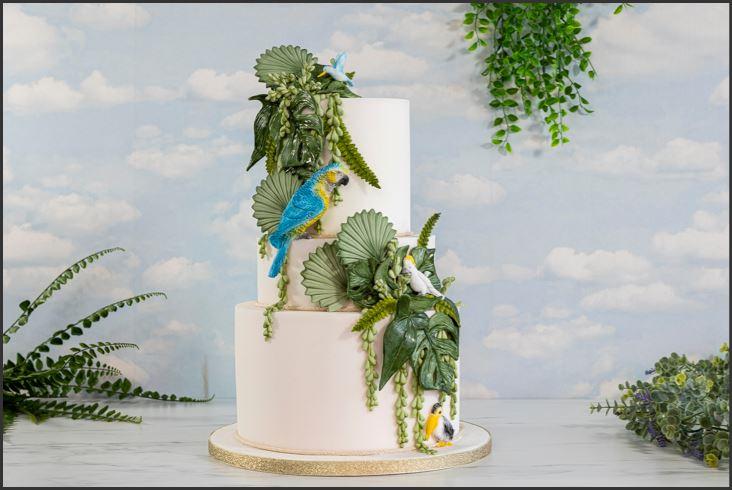 Mould Fan Palm Karen Davies - Last Chance