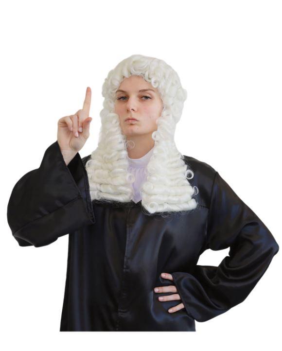 Wig Judge/Barrister White Costume Accessory