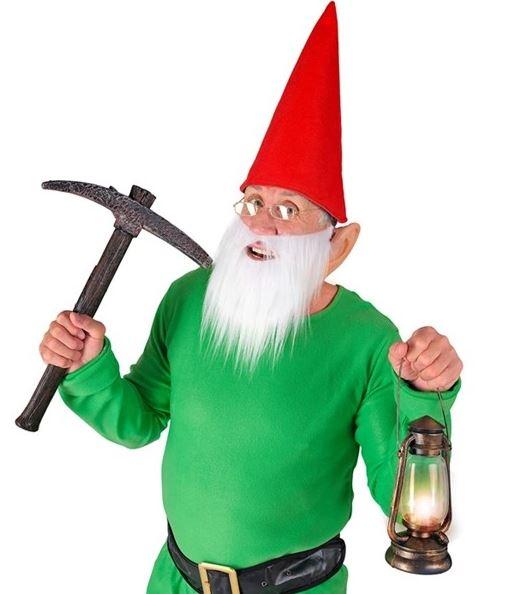 Gnome/Dwarf Costume Set Red (Hat Beard & Ears)