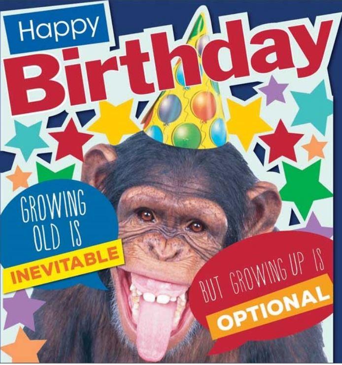 Big Moment Greeting Card Happy Birthday Chimp Humour