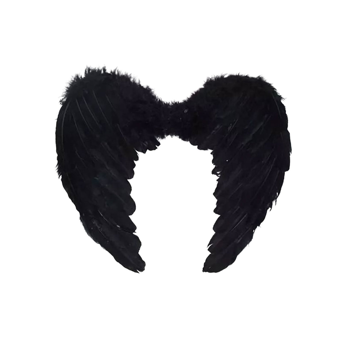 Wings Down Feather Angel Black 55cm x 38cm