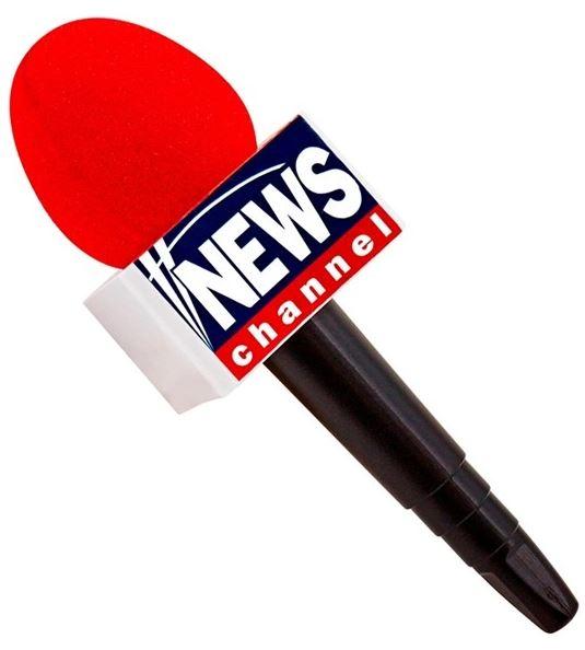 Microphone Breaking News 25cm Costume Accessory