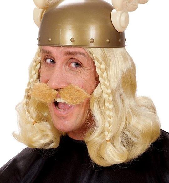 Moustache Blonde Schnauzer Costume Accessory
