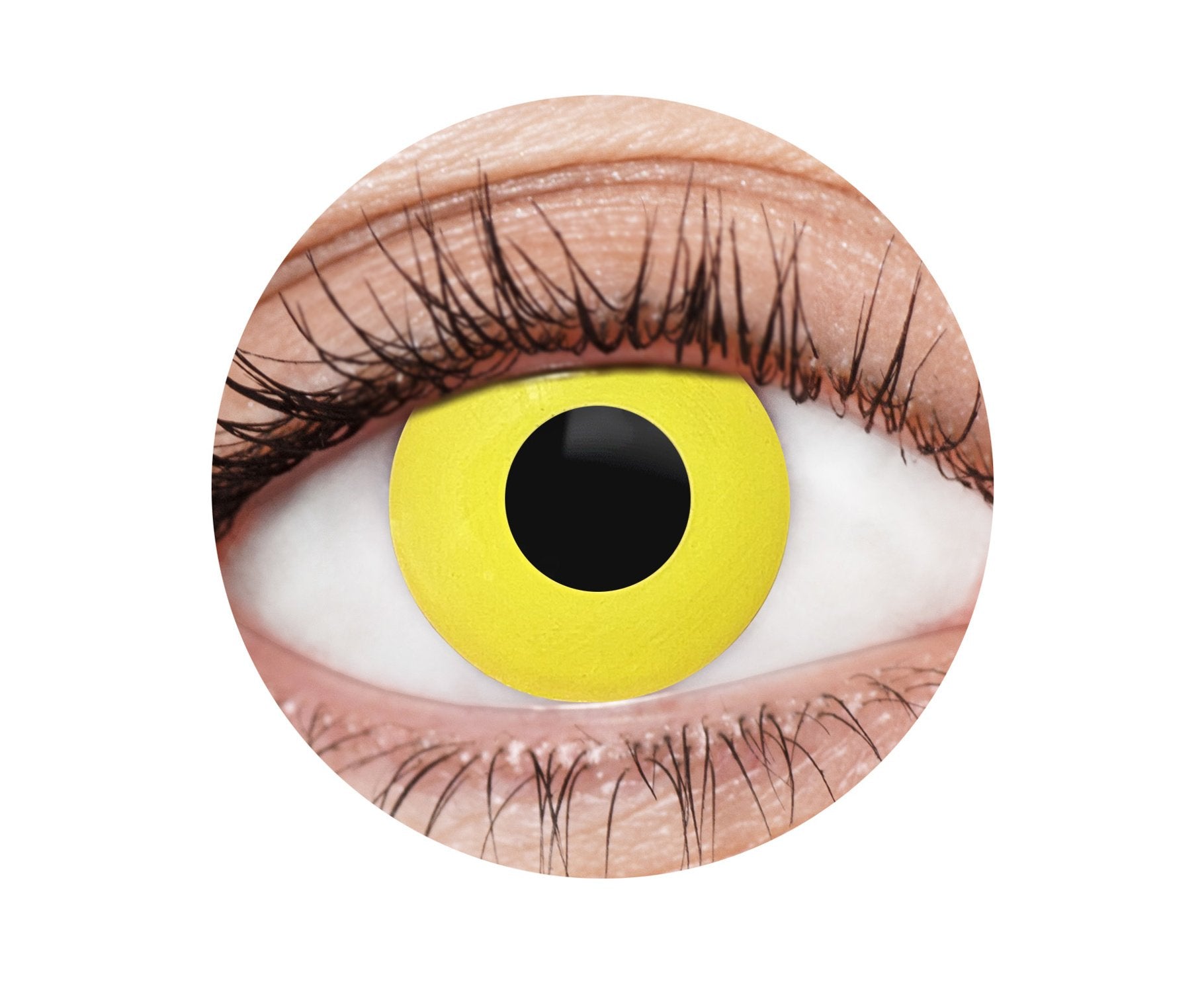 Contact Lense EyeFX Yellow Crow