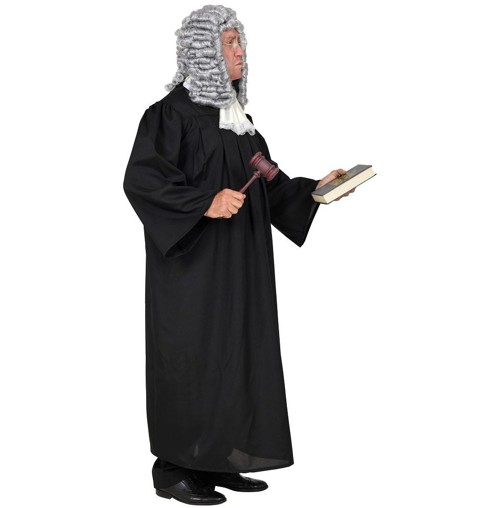 Costume Adult Occupation Judge Gown & Jabot